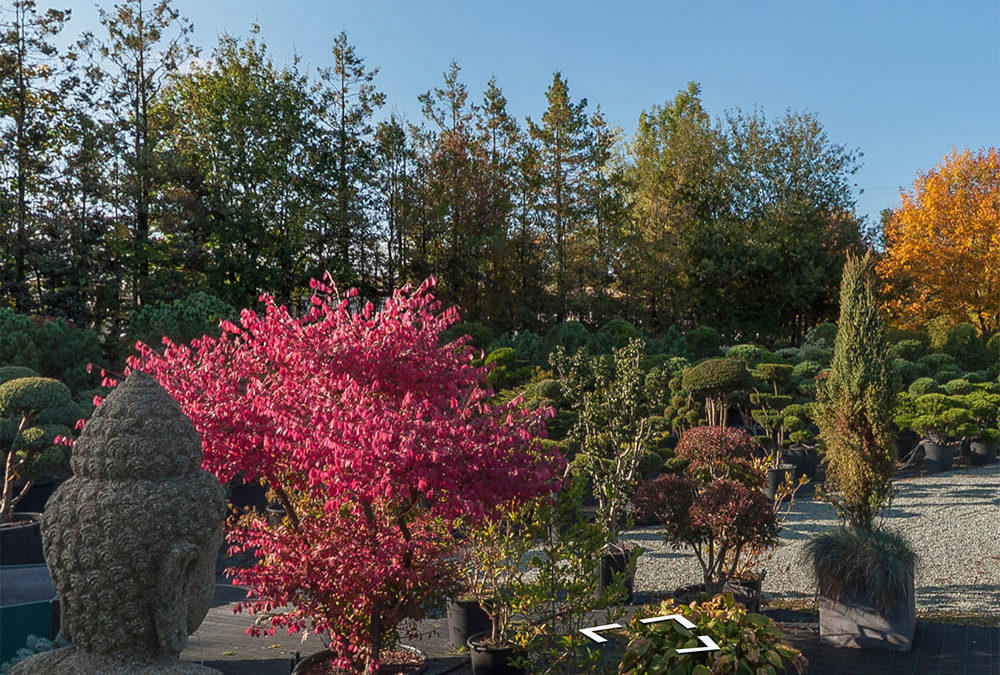 Gärtnerei & Gartenbau